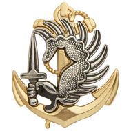 Navy Beret Badge TAP