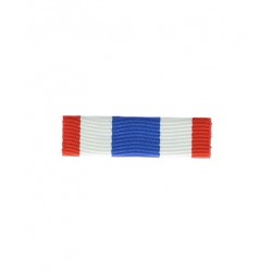 Dixmude military barrette of the territory