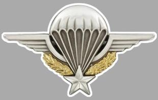 Paratrooper, Badge Sticker