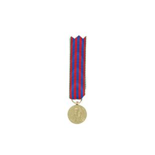 FRENCH COMMEMO REDUCTION MEDAL