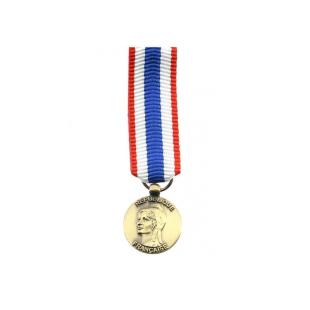 MEDAL REDUCTION MILITARY PROTECTION OF THE TERRITORY