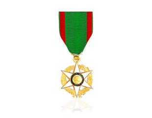 Order of Agricultural Merit Knight