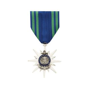 Order of Merit Shipping knight