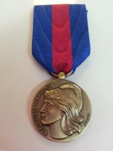 Services Medal Military Volunteer Bronze