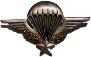 paratrooper  badge