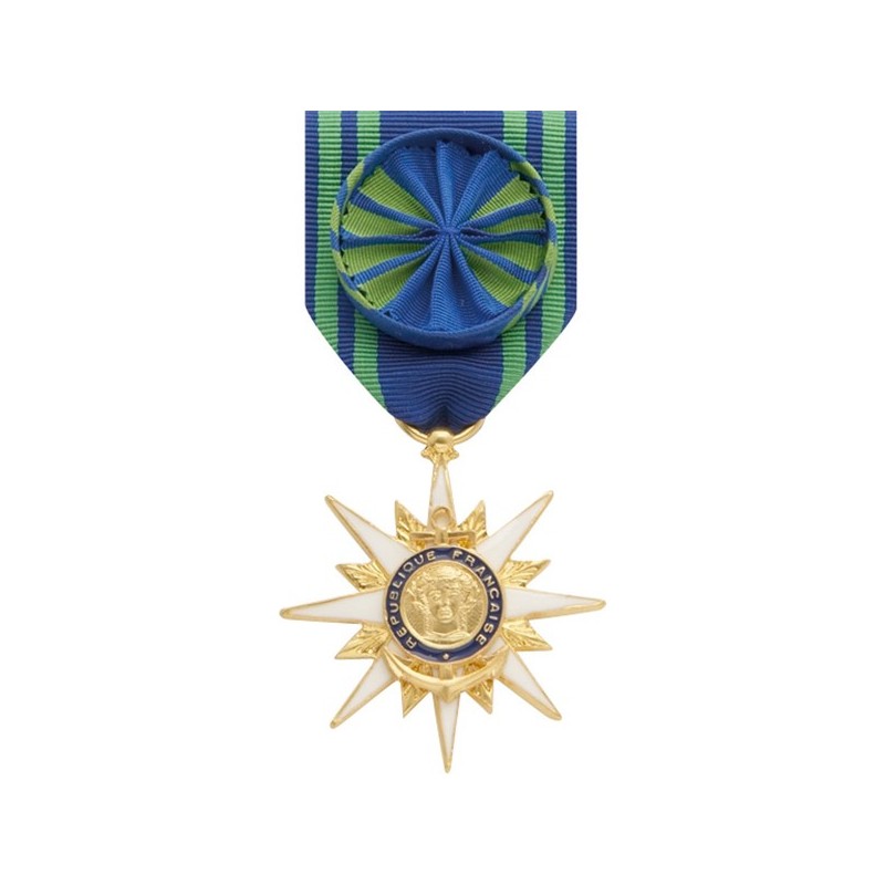 Ordre du Mérite Maritime Officier