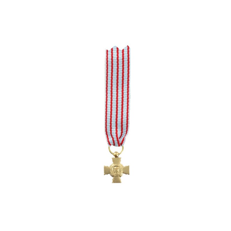 FIGHTER REDUCTION MEDAL