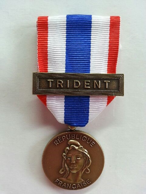 La Médaille Protection Militaire du Territoire avec Agrafe Trident