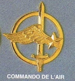 Insigne De Béret Commandos De L'air