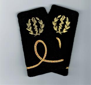 Fourreaux d'épaules Élève Officier Médecin 1ère année