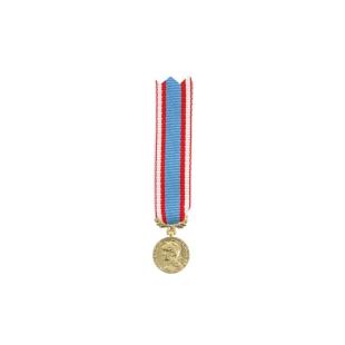 MEDAILLE REDUCTION COMMEMO AFN