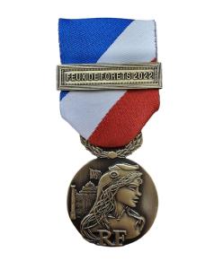 Médaille Ordonnance MSI Bronze Agrafe FEUX DE FORETS 2022