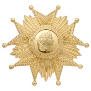 plaque Grand Croix Légion D'honneur Bronze Doré