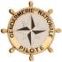 Insigne de poitrine brevet pilote gendarmerie