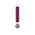 NATIONAL DEFENSE REDUCTION MEDAL SILVER